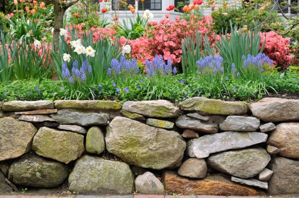 Stone Wall Hardscaping in Bloomington