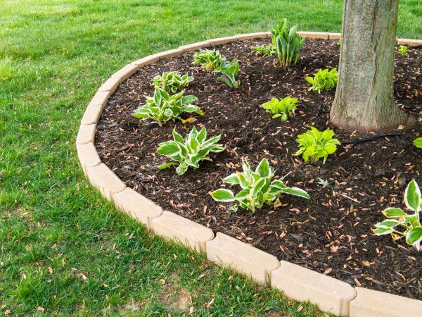 Stone Border Installation in Bloomington