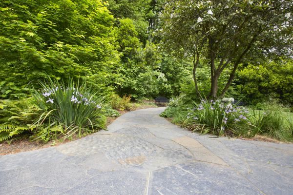 Stone Hardscape Service in Bloomington